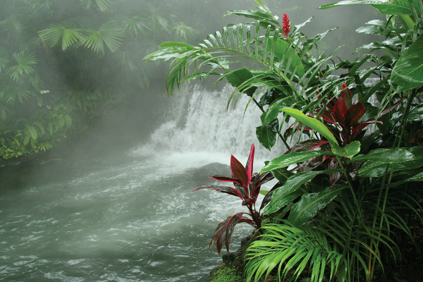 Hot Springs   Costa Rica _70971226