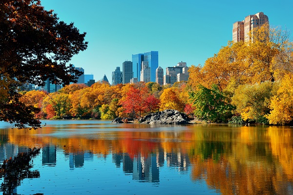 Central Park  New York autumn_227318326
