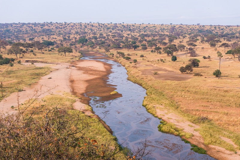 Tanzania Serengeti Safari