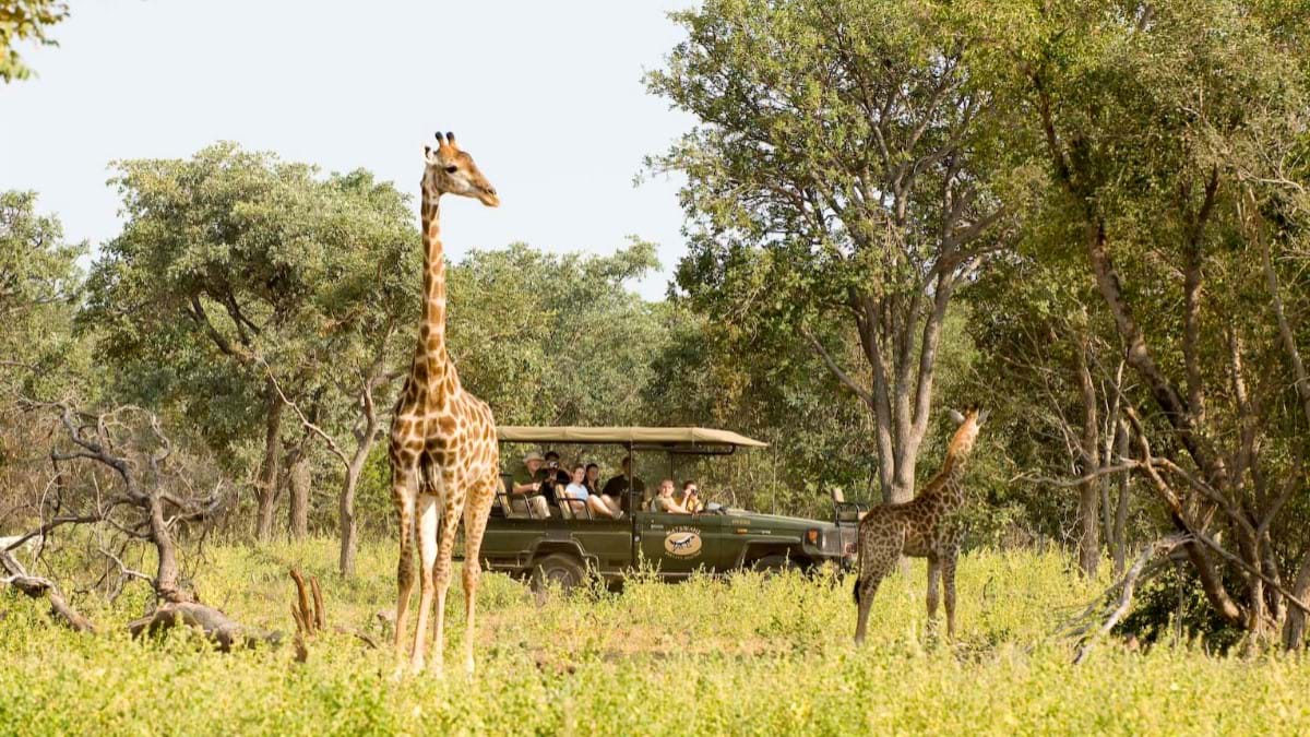 On Safari in South Africa   Elephant Lodge 01
