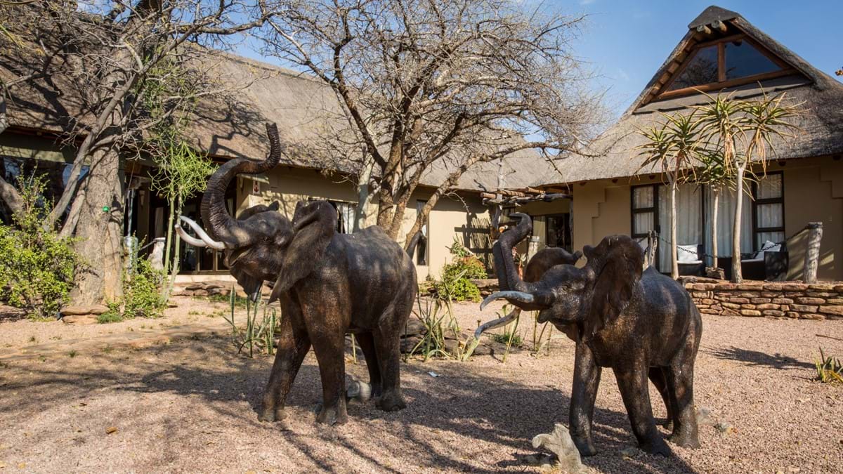 On Safari in South Africa   Elephant Lodge 05