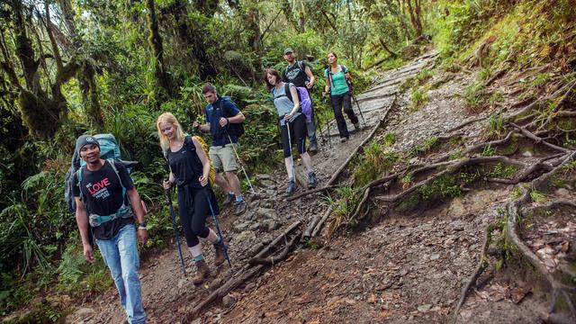 itinerary_mobi_Tanzania Kilimanjaro Machame Forest Hike Group   0M4A5109 Lg RGB web