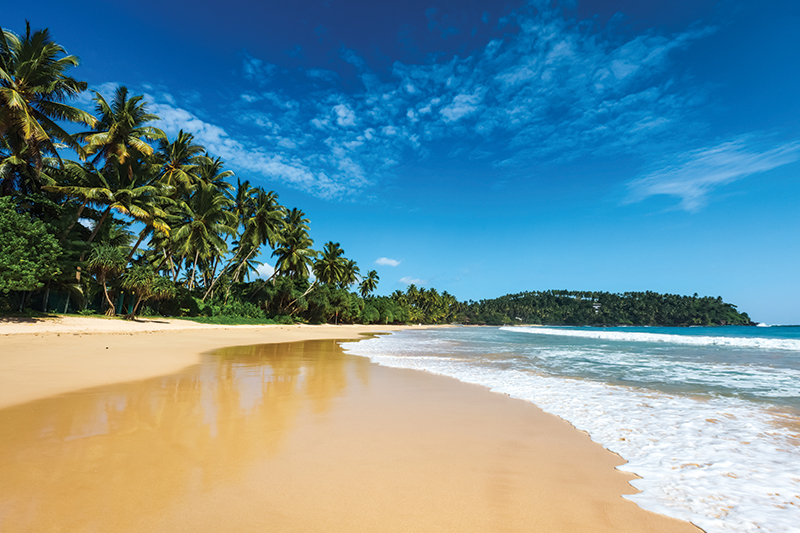 Sri Lanka beach_240373141