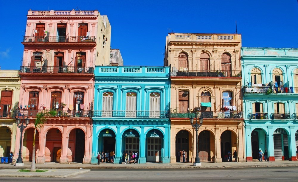 Havana Twin