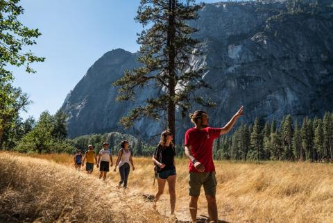 Intrepid Travel USA__Yosemite_hike and park0998